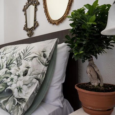 Santa Cruz Country Cottage Kallithea  المظهر الخارجي الصورة