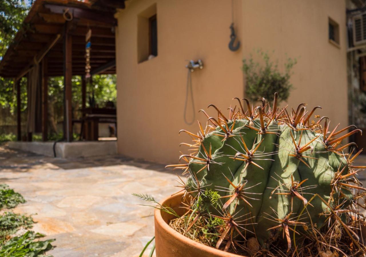 Santa Cruz Country Cottage Kallithea  المظهر الخارجي الصورة