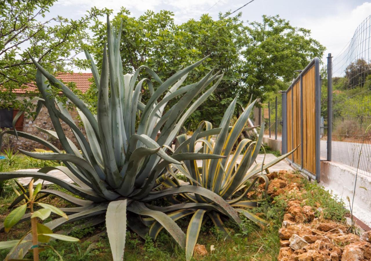 Santa Cruz Country Cottage Kallithea  المظهر الخارجي الصورة