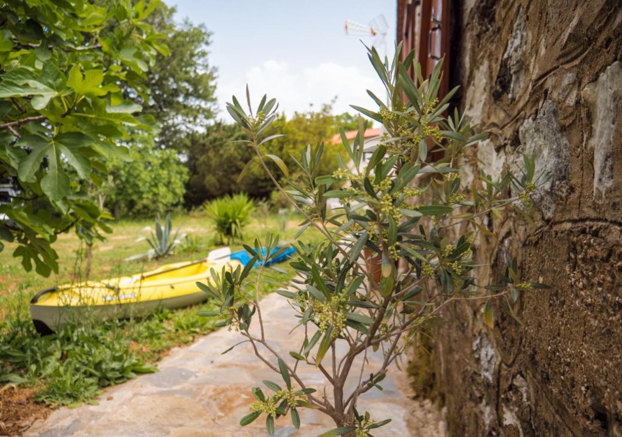 Santa Cruz Country Cottage Kallithea  المظهر الخارجي الصورة